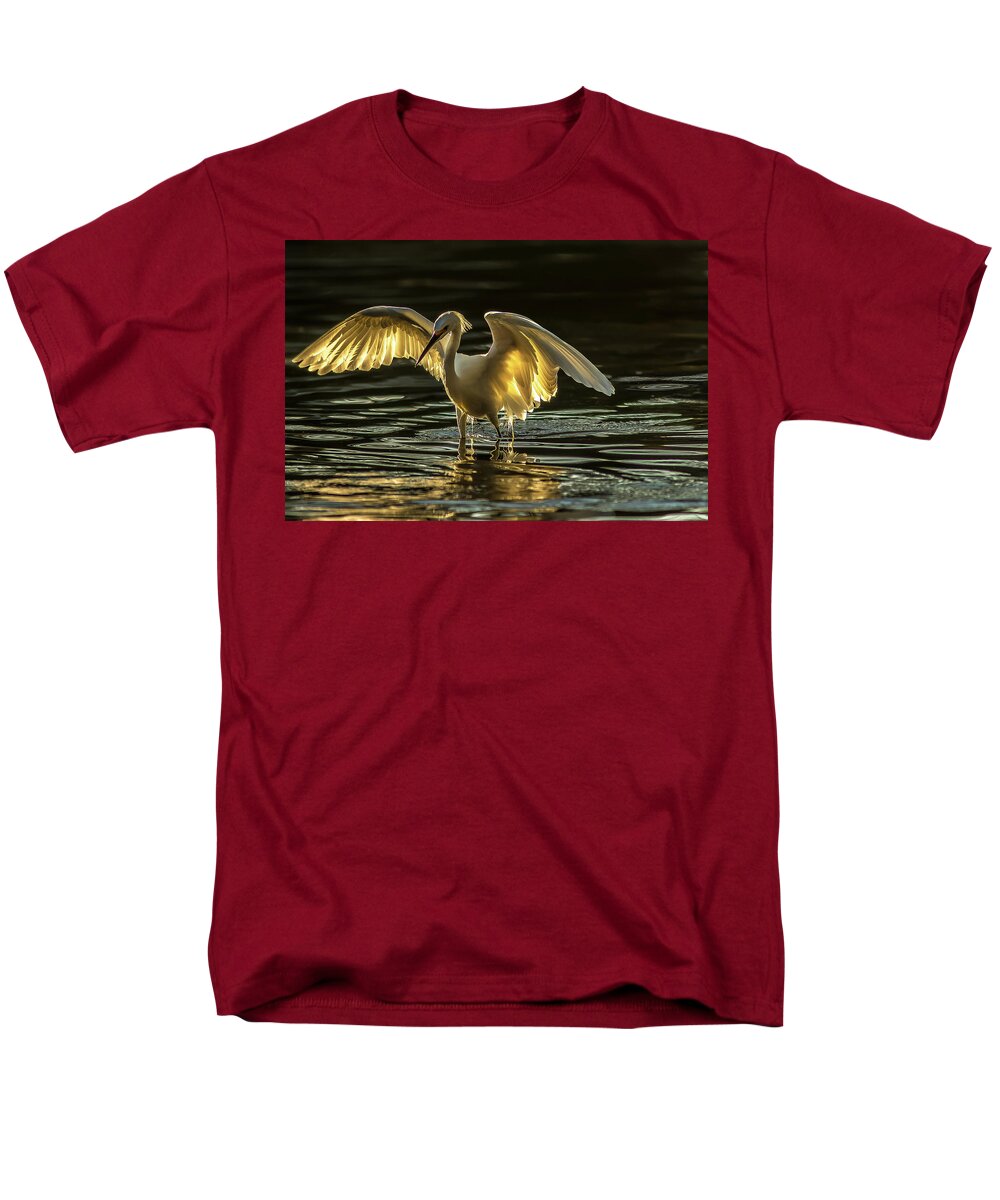 Light Dancer - Men's T-Shirt  (Regular Fit)