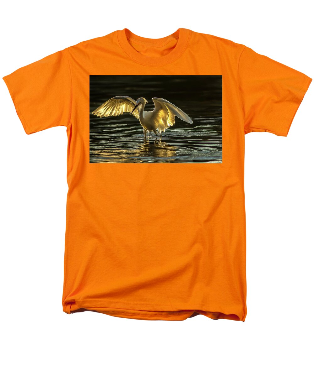 Light Dancer - Men's T-Shirt  (Regular Fit)