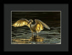Light Dancer - Framed Print