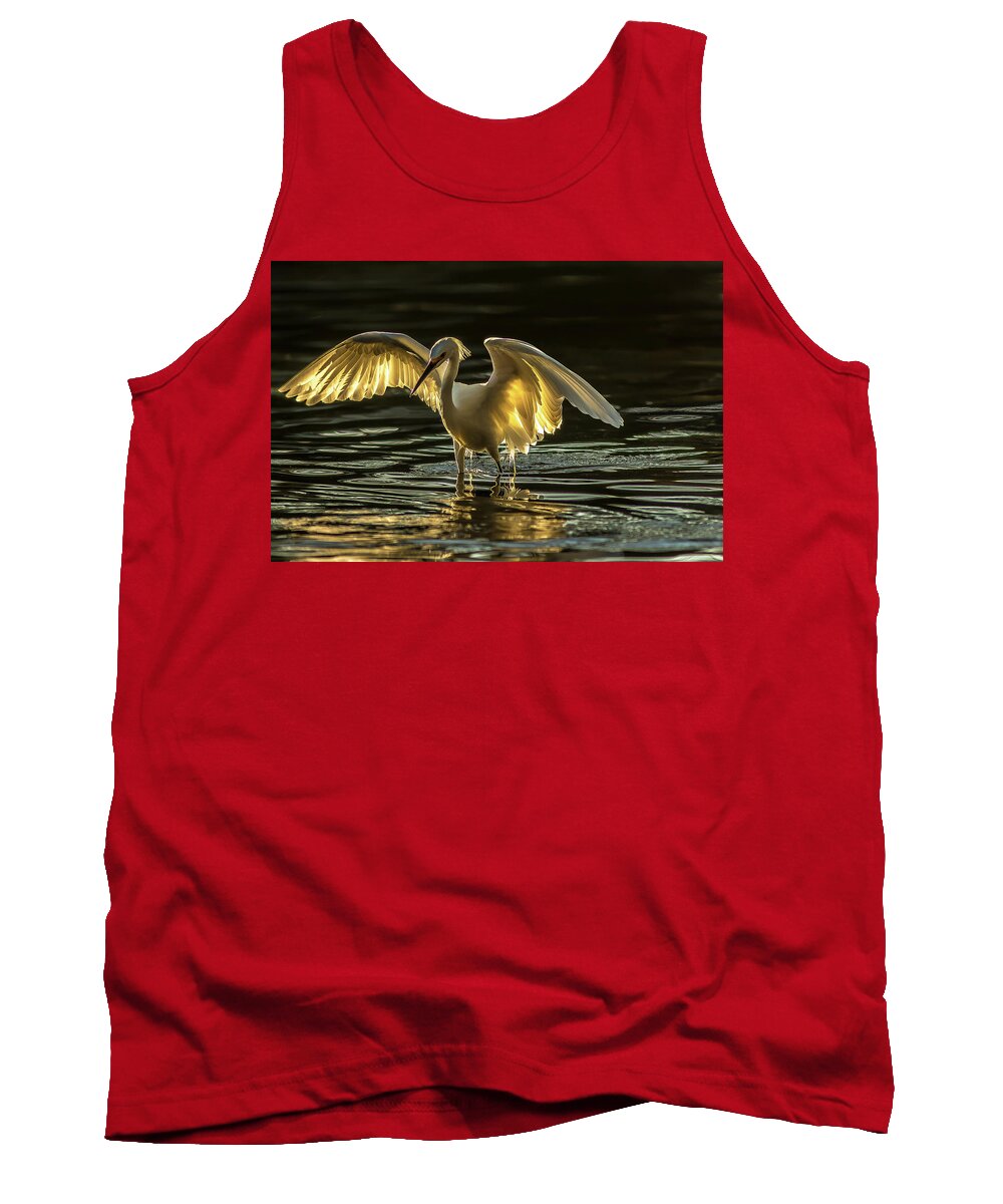 Light Dancer - Tank Top