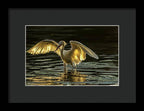 Light Dancer - Framed Print