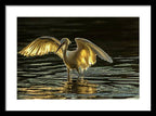 Light Dancer - Framed Print