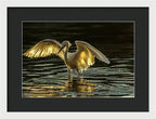 Light Dancer - Framed Print