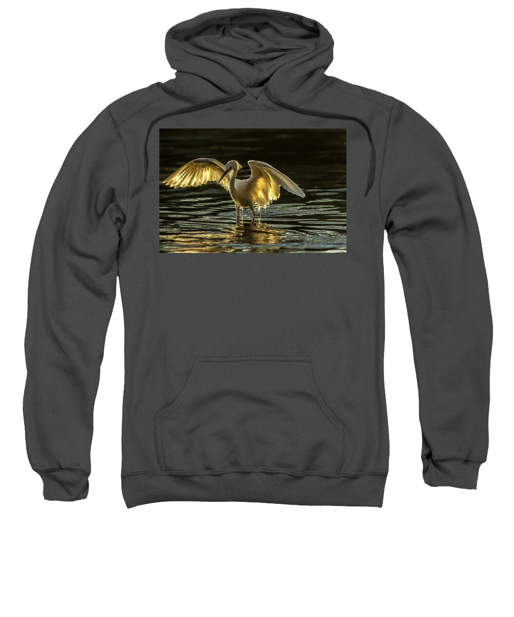 Light Dancer - Sweatshirt