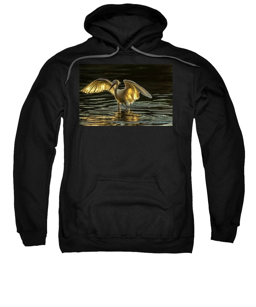 Light Dancer - Sweatshirt
