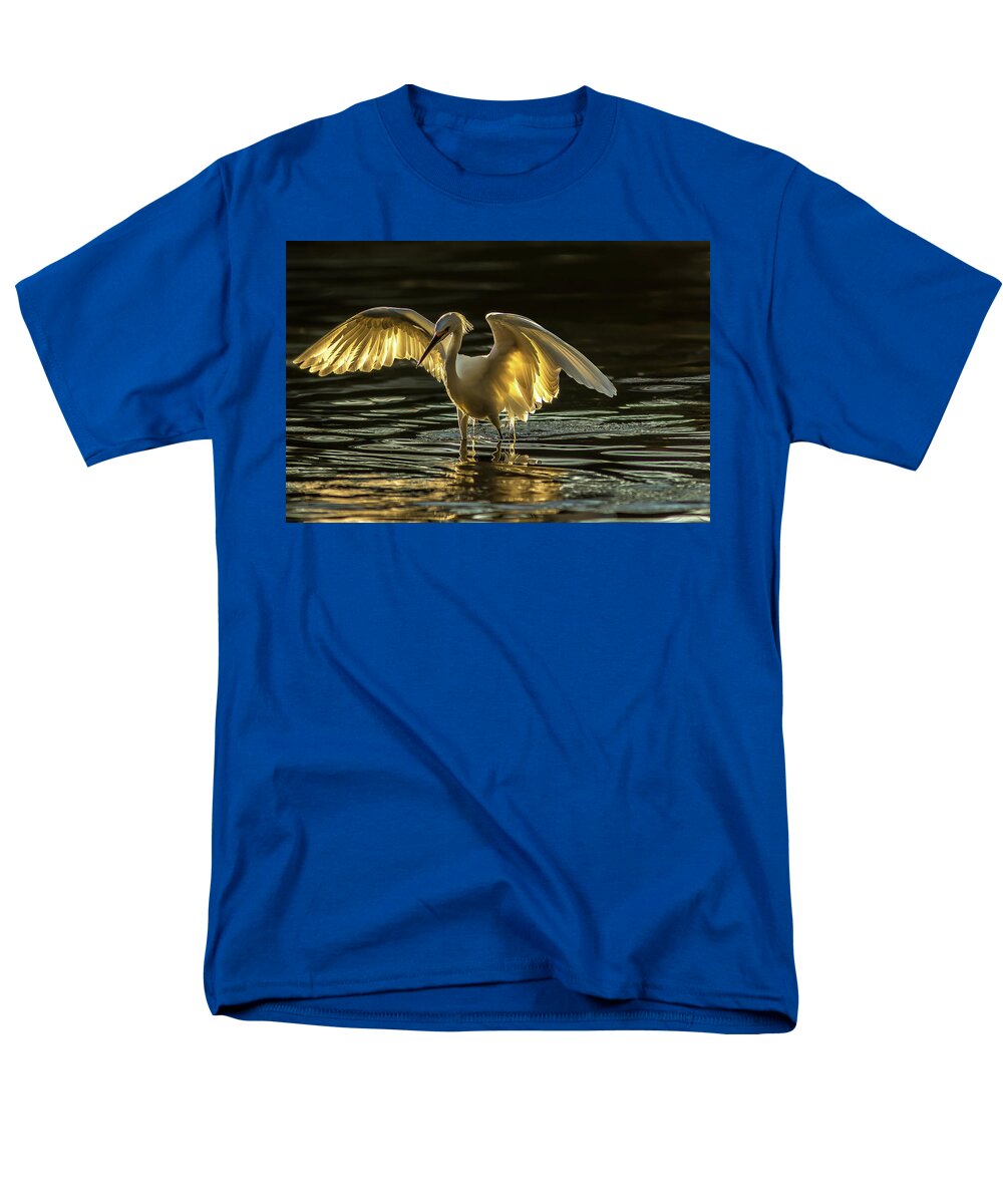 Light Dancer - Men's T-Shirt  (Regular Fit)