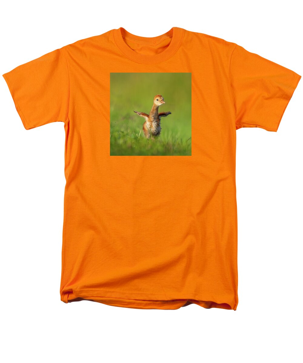 Little Puff - Men's T-Shirt  (Regular Fit)