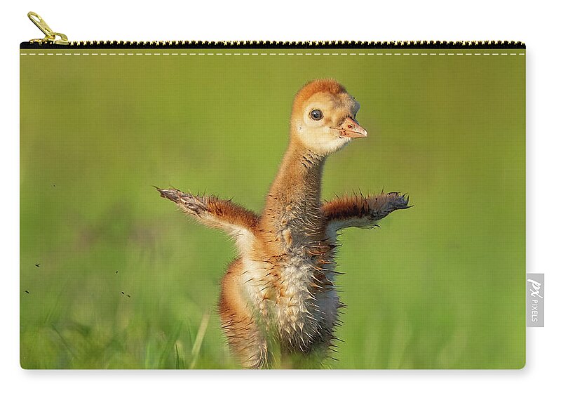 Little Puff - Zip Pouch