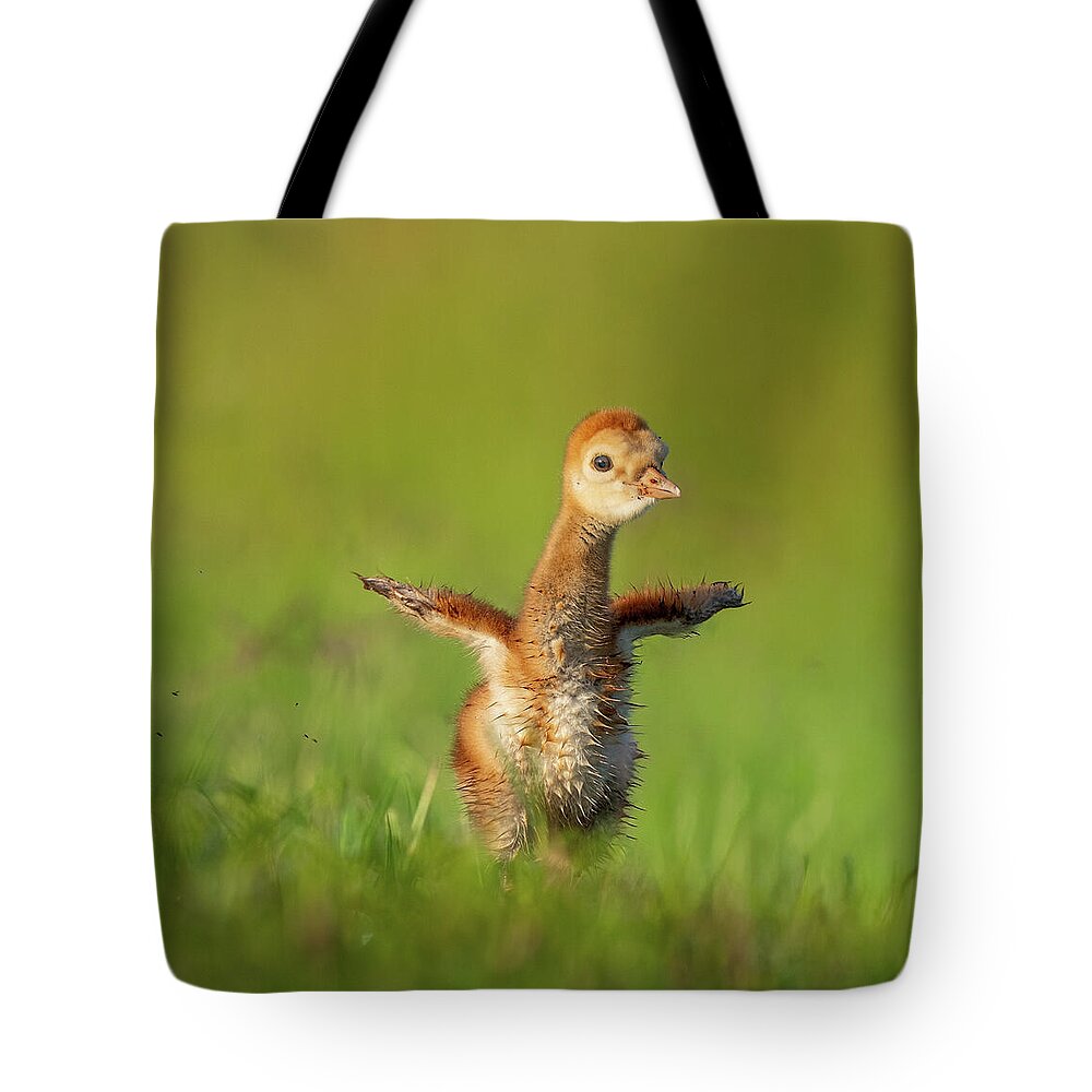 Little Puff - Tote Bag