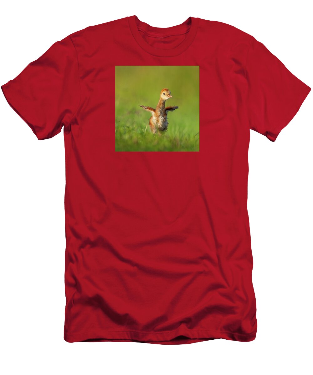 Little Puff - T-Shirt