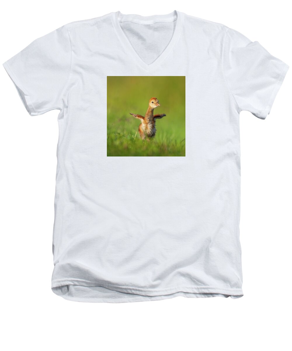 Little Puff - Men's V-Neck T-Shirt