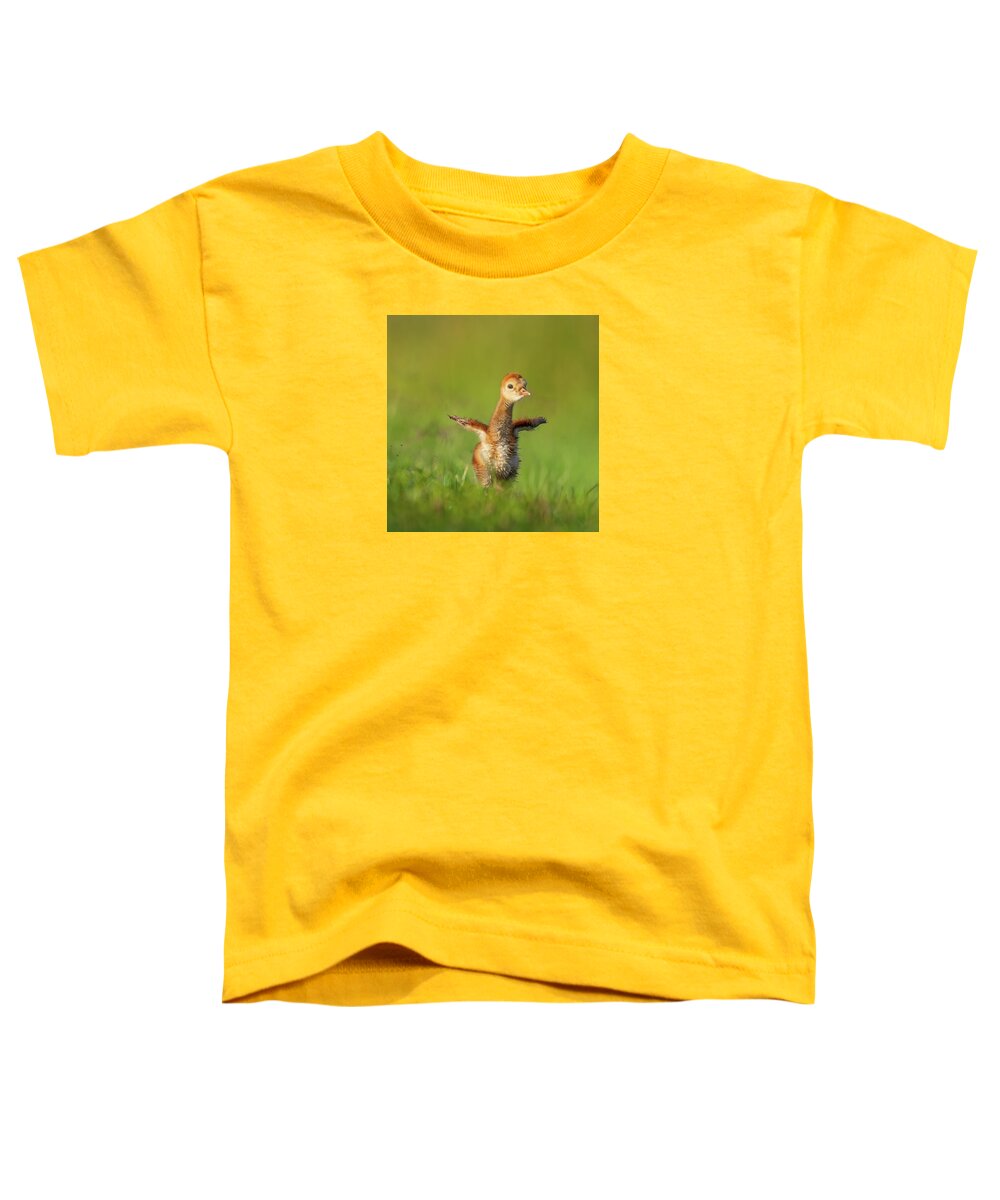 Little Puff - Toddler T-Shirt
