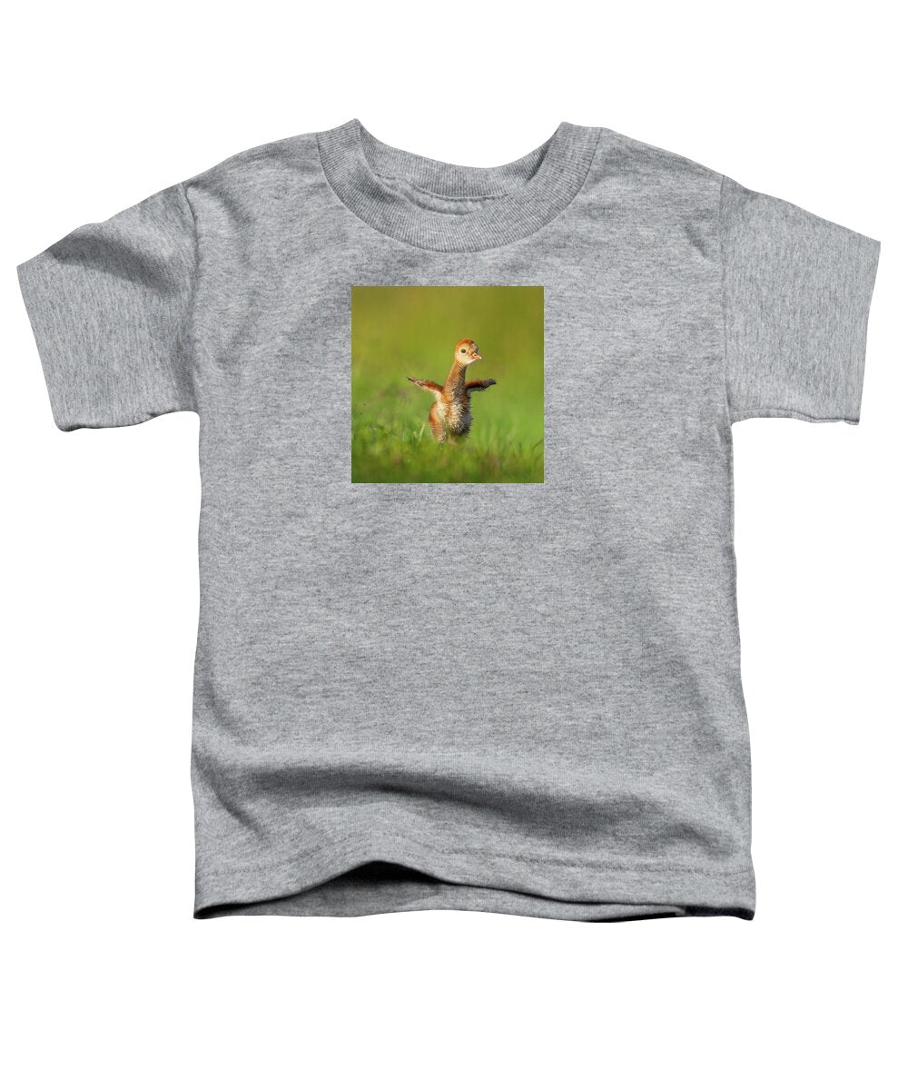 Little Puff - Toddler T-Shirt