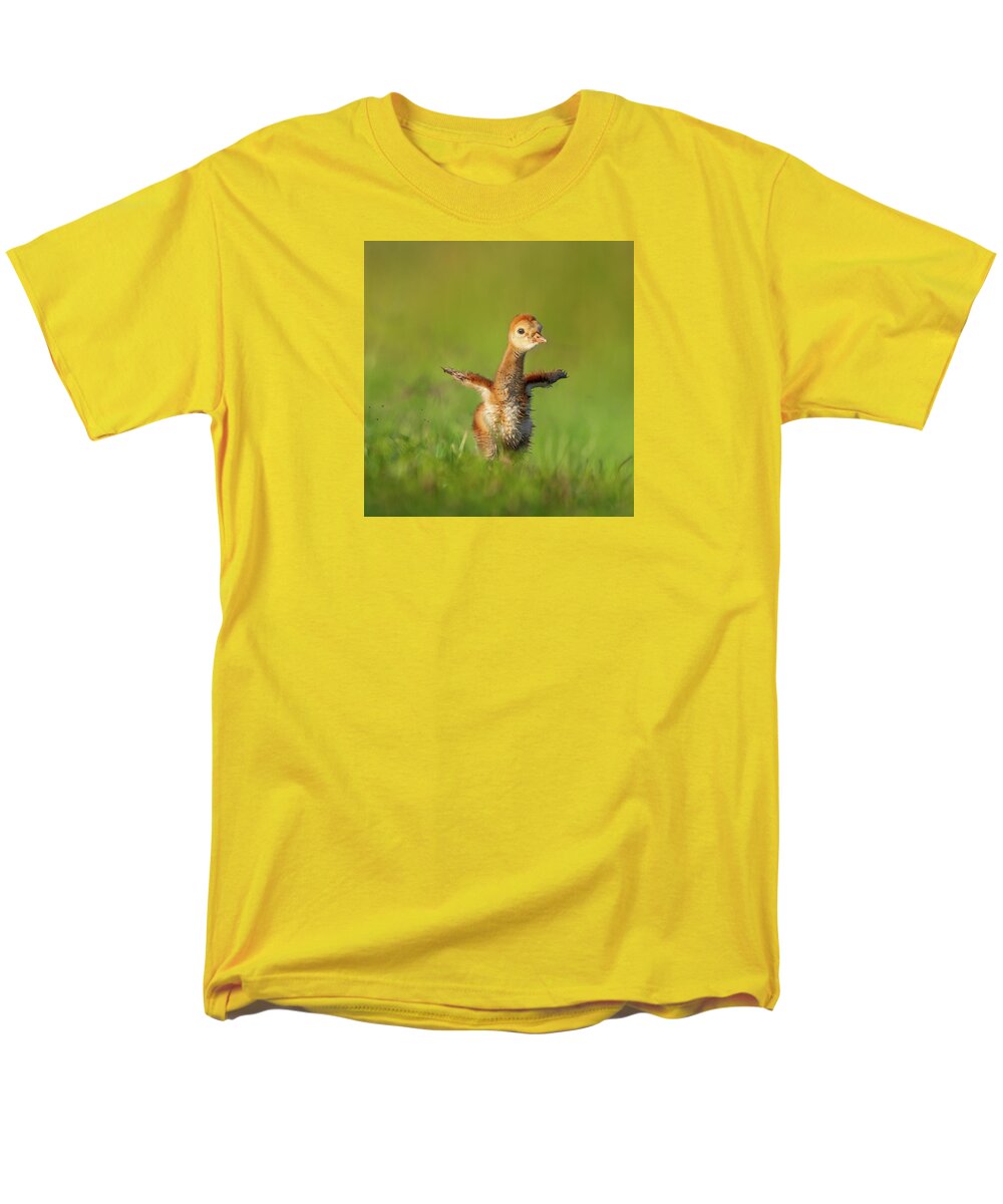 Little Puff - Men's T-Shirt  (Regular Fit)