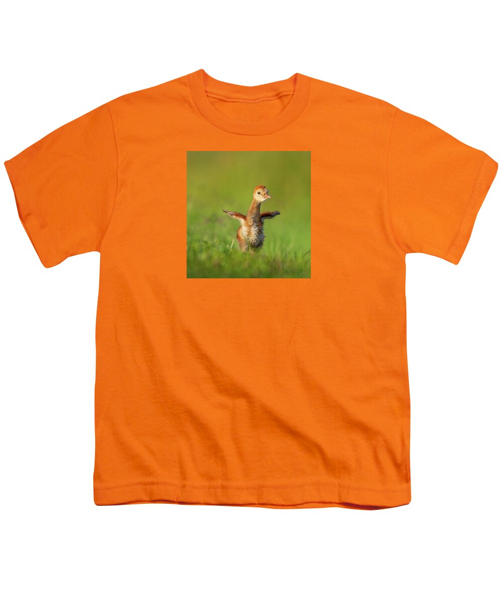 Little Puff - Youth T-Shirt