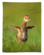 Little Puff - Blanket