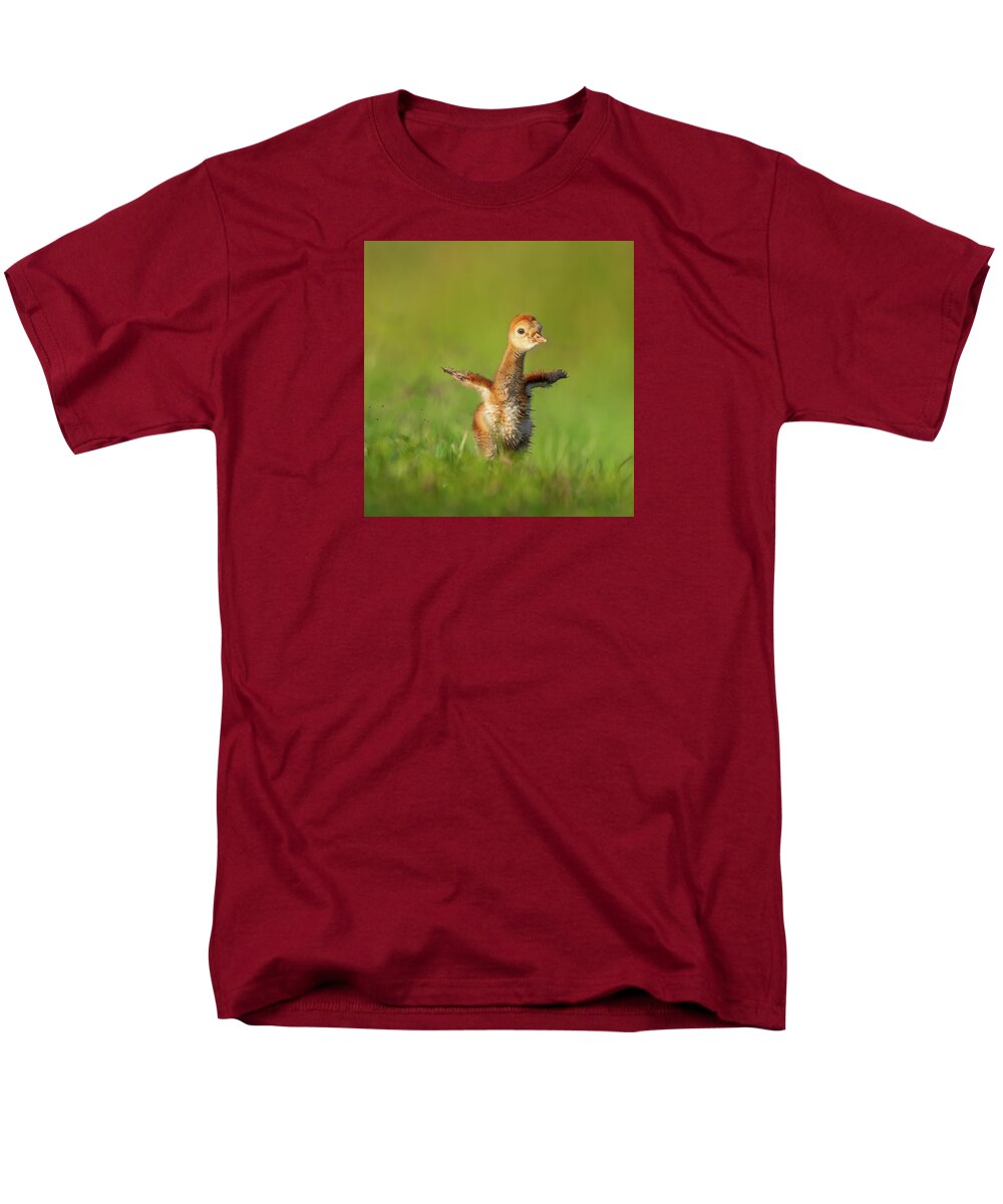 Little Puff - Men's T-Shirt  (Regular Fit)