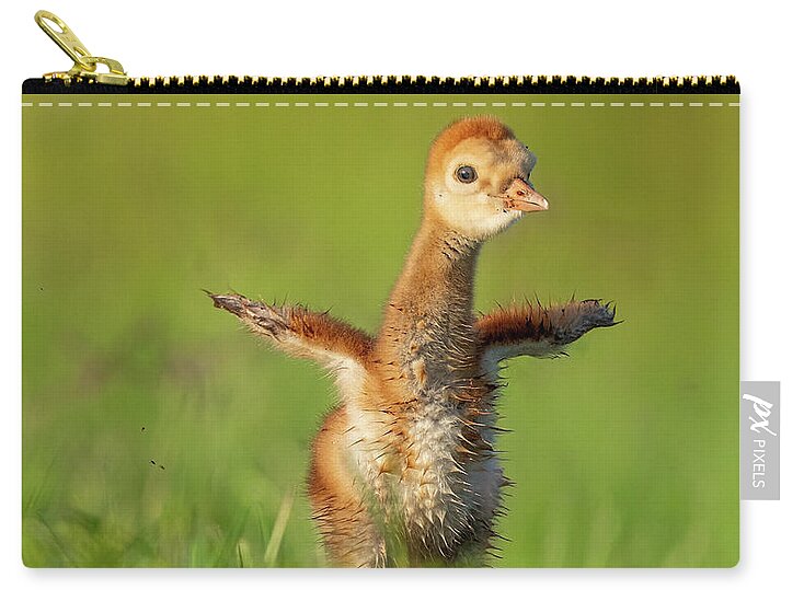 Little Puff - Zip Pouch