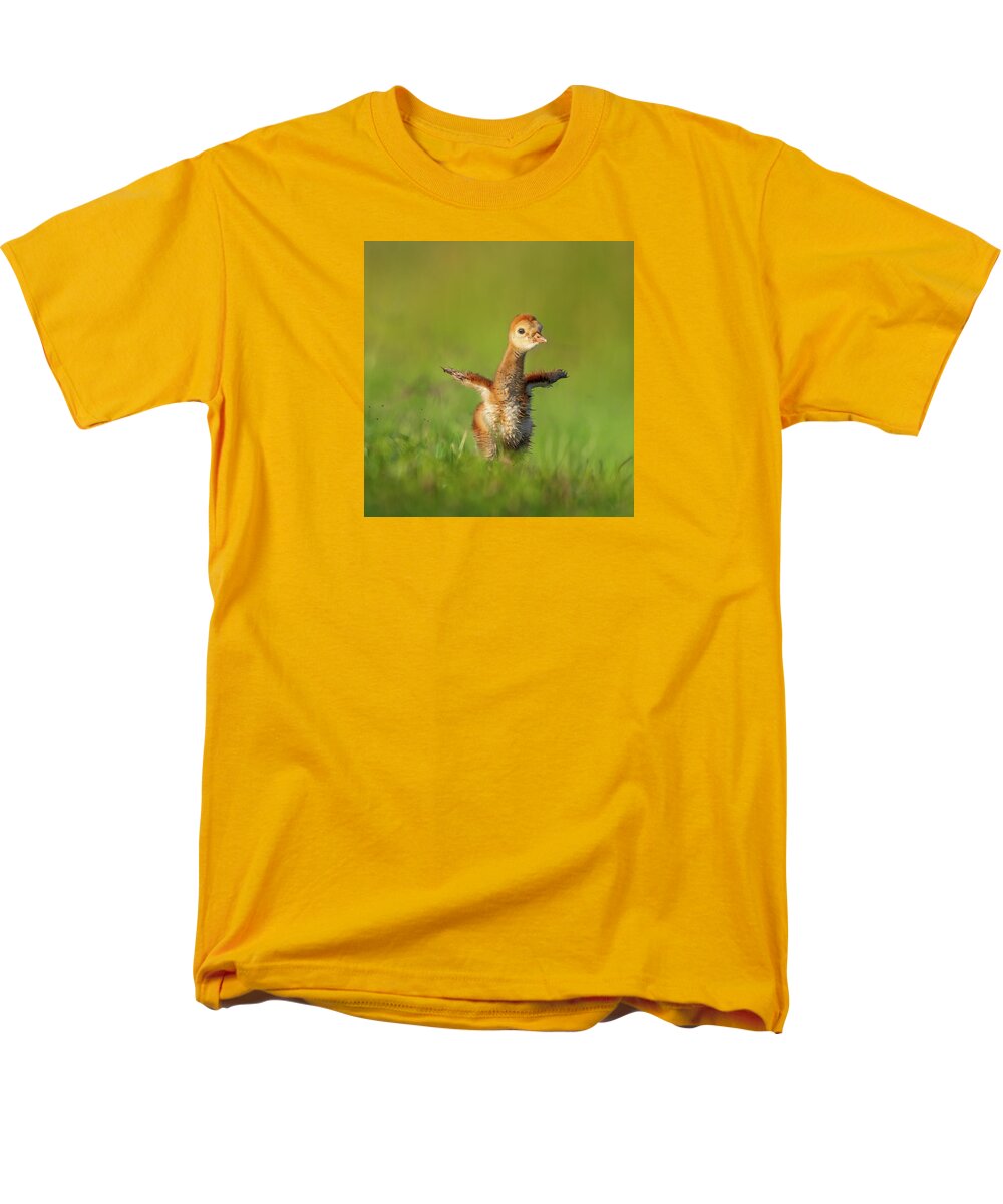 Little Puff - Men's T-Shirt  (Regular Fit)