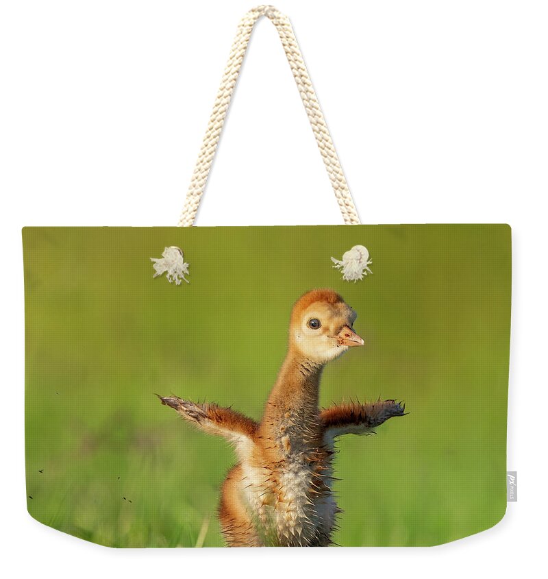 Little Puff - Weekender Tote Bag
