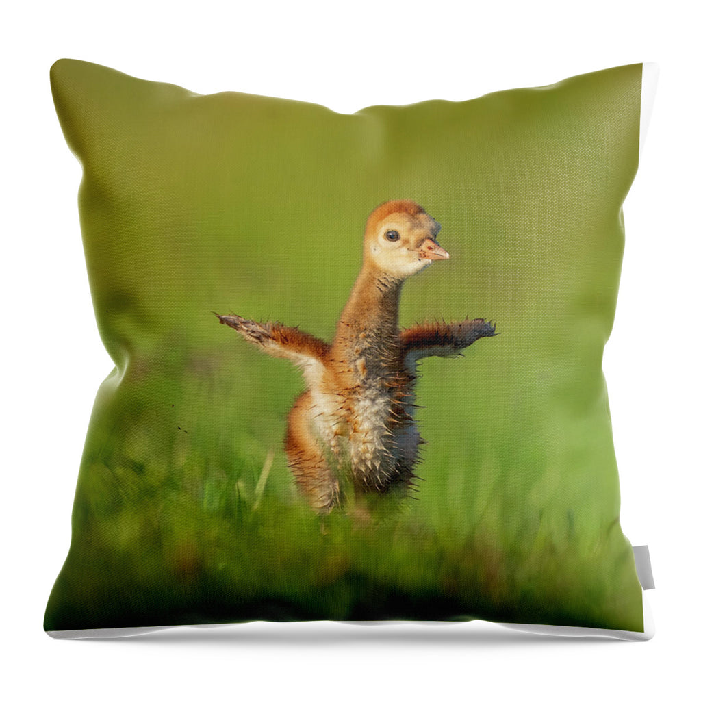 Little Puff - Throw Pillow