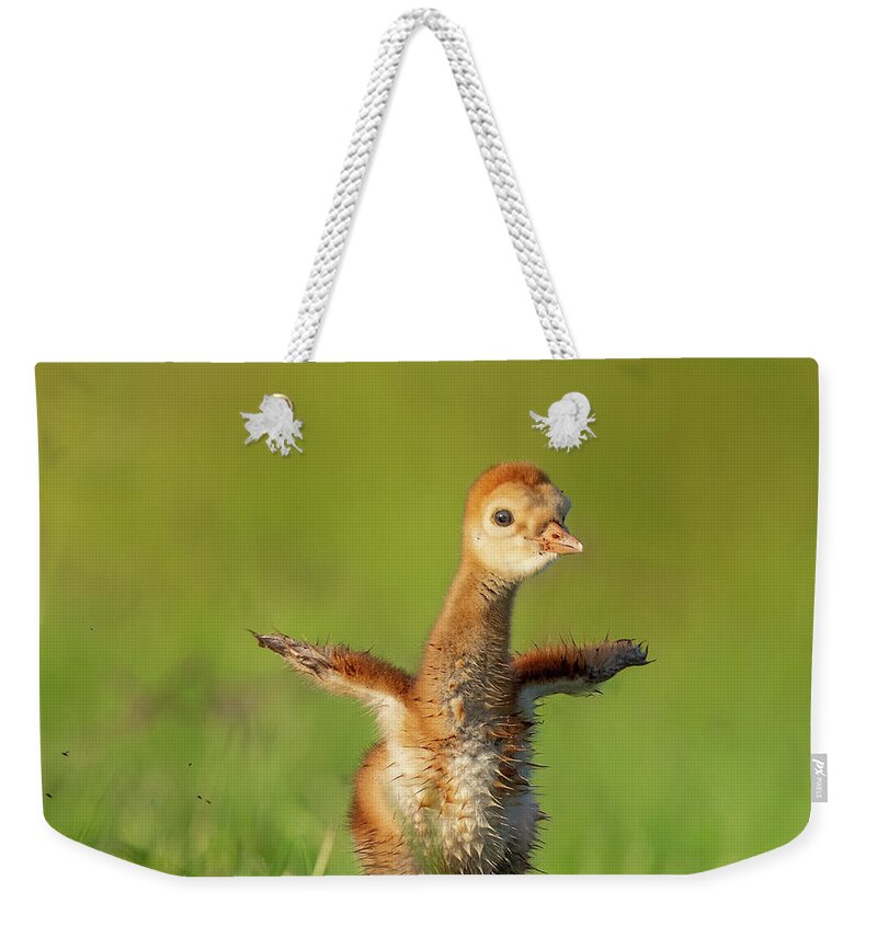 Little Puff - Weekender Tote Bag