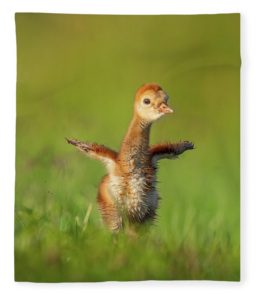 Little Puff - Blanket
