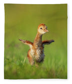 Little Puff - Blanket