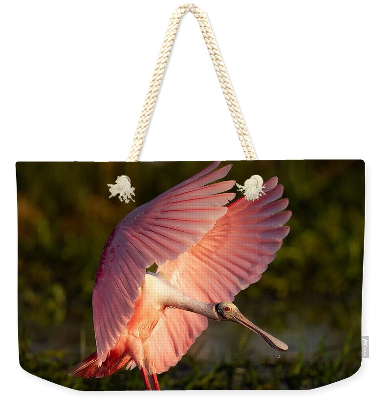 Pink Light - Weekender Tote Bag