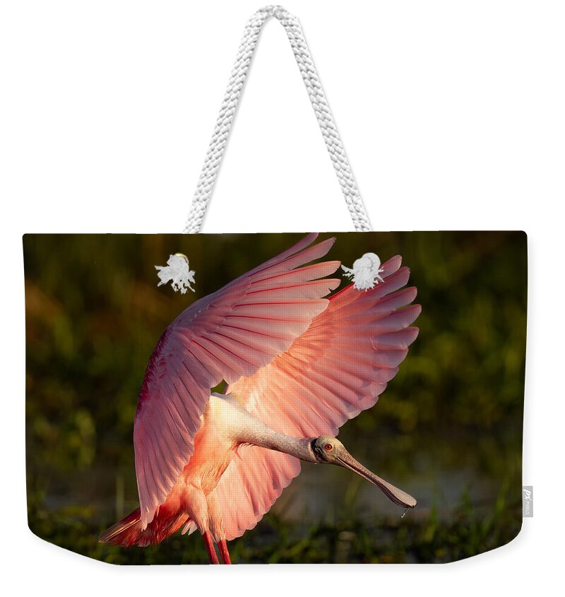 Pink Light - Weekender Tote Bag