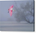 Pink veil - Canvas Print