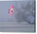 Pink veil - Canvas Print