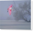 Pink veil - Canvas Print