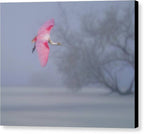 Pink veil - Canvas Print