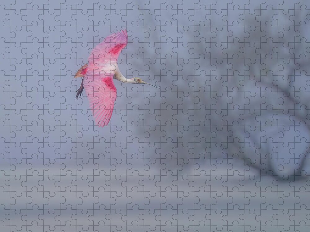 Pink veil - Puzzle