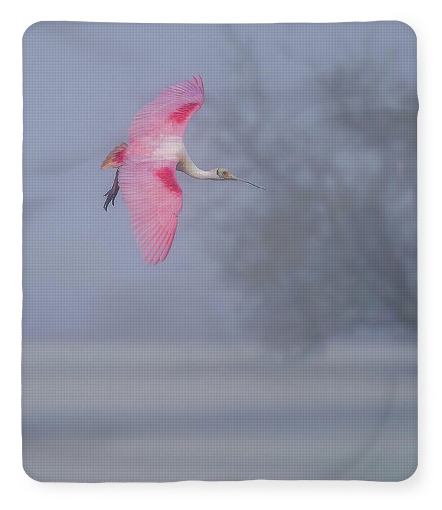 Pink veil - Blanket