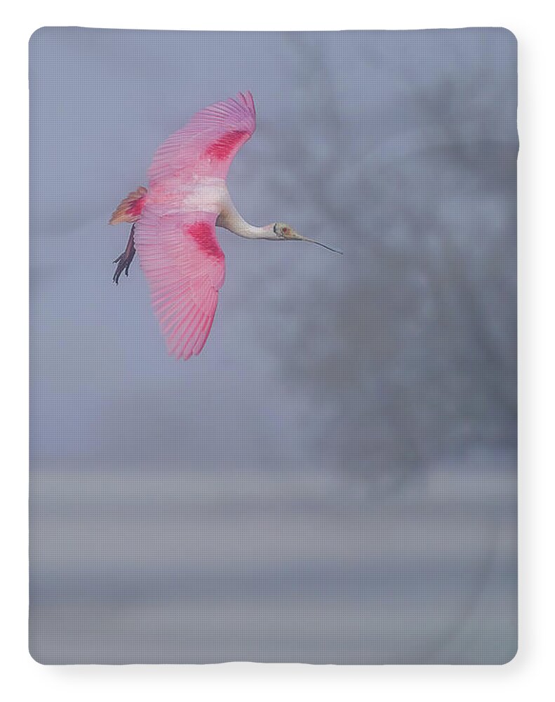 Pink veil - Blanket