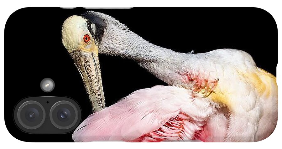 Preen - Phone Case