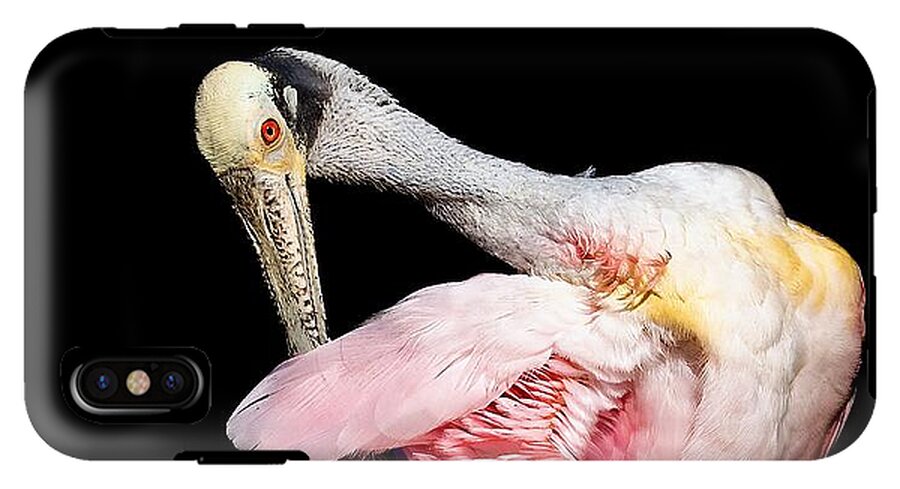 Preen - Phone Case