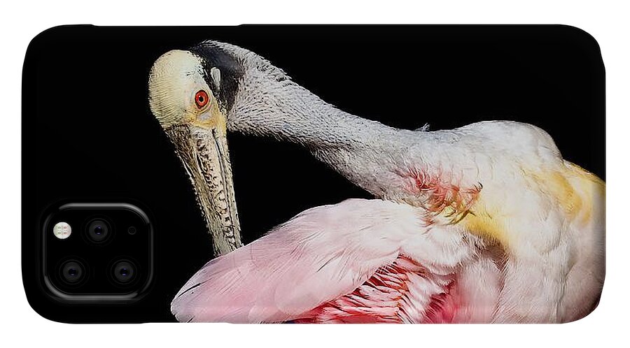 Preen - Phone Case