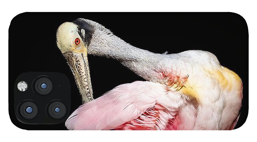 Preen - Phone Case