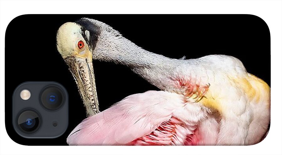 Preen - Phone Case