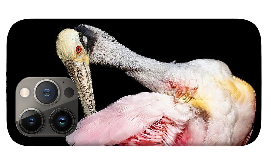 Preen - Phone Case
