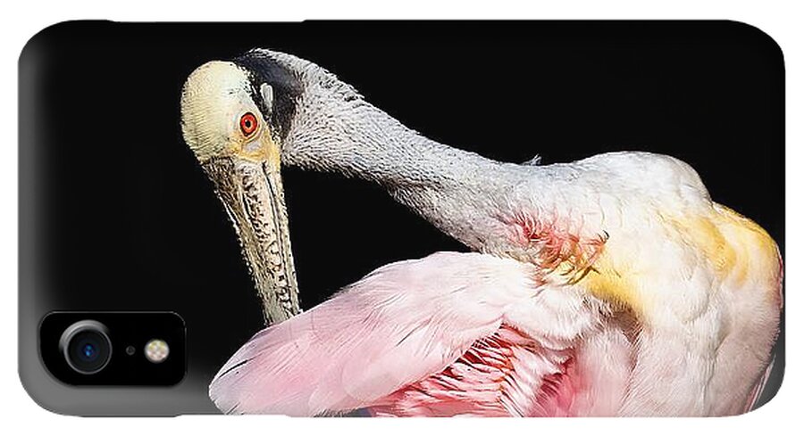 Preen - Phone Case