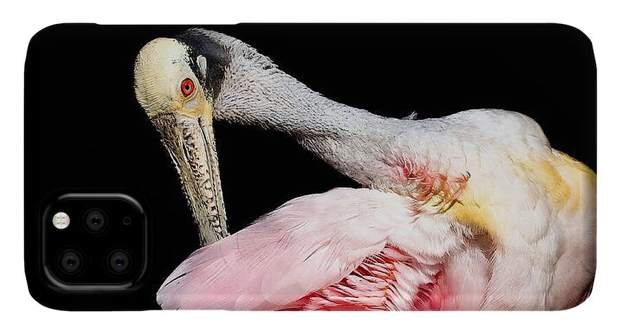 Preen - Phone Case