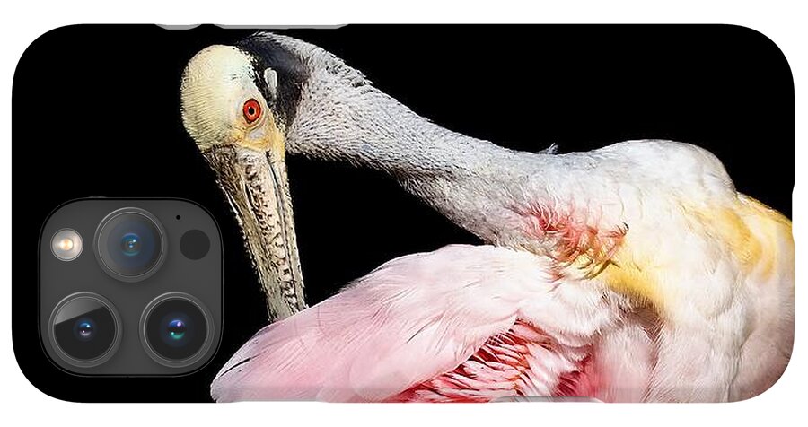 Preen - Phone Case