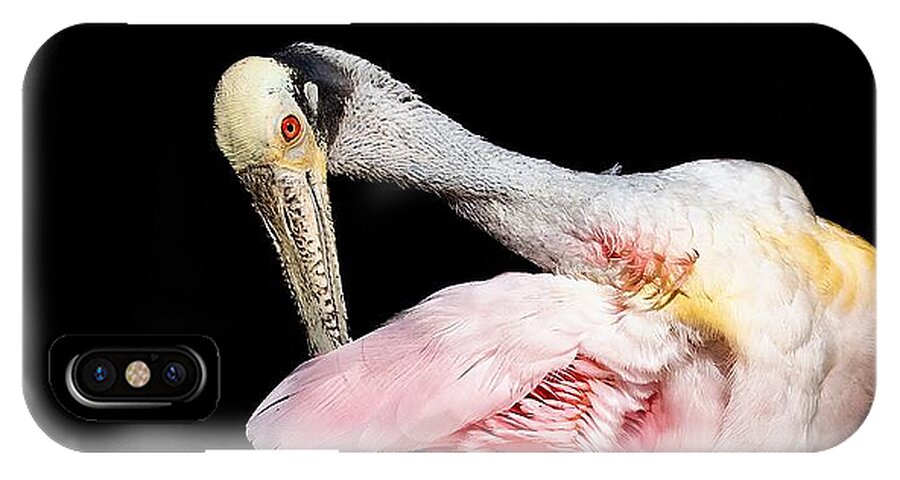 Preen - Phone Case