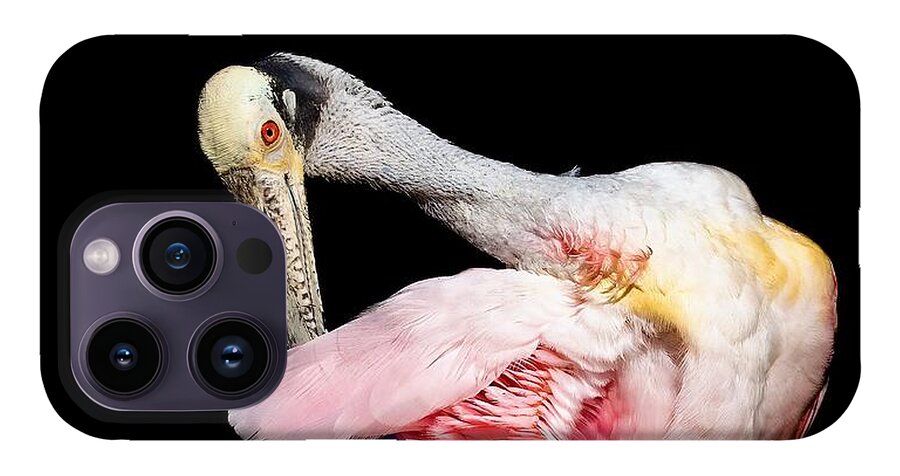 Preen - Phone Case