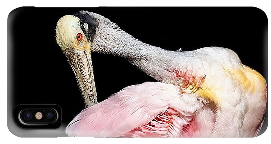 Preen - Phone Case