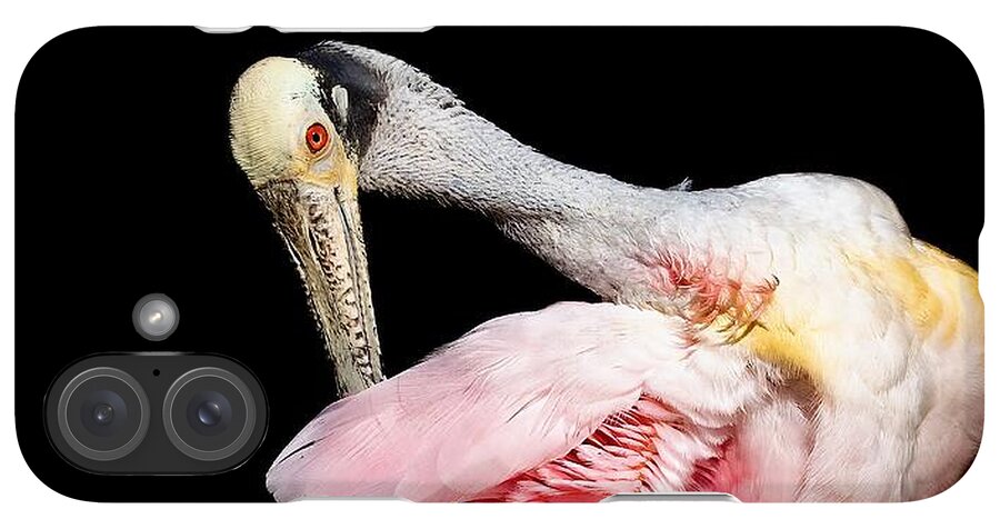 Preen - Phone Case